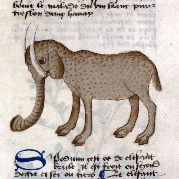 Middle Ages elephant