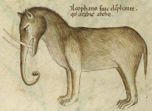 Middle Ages elephant